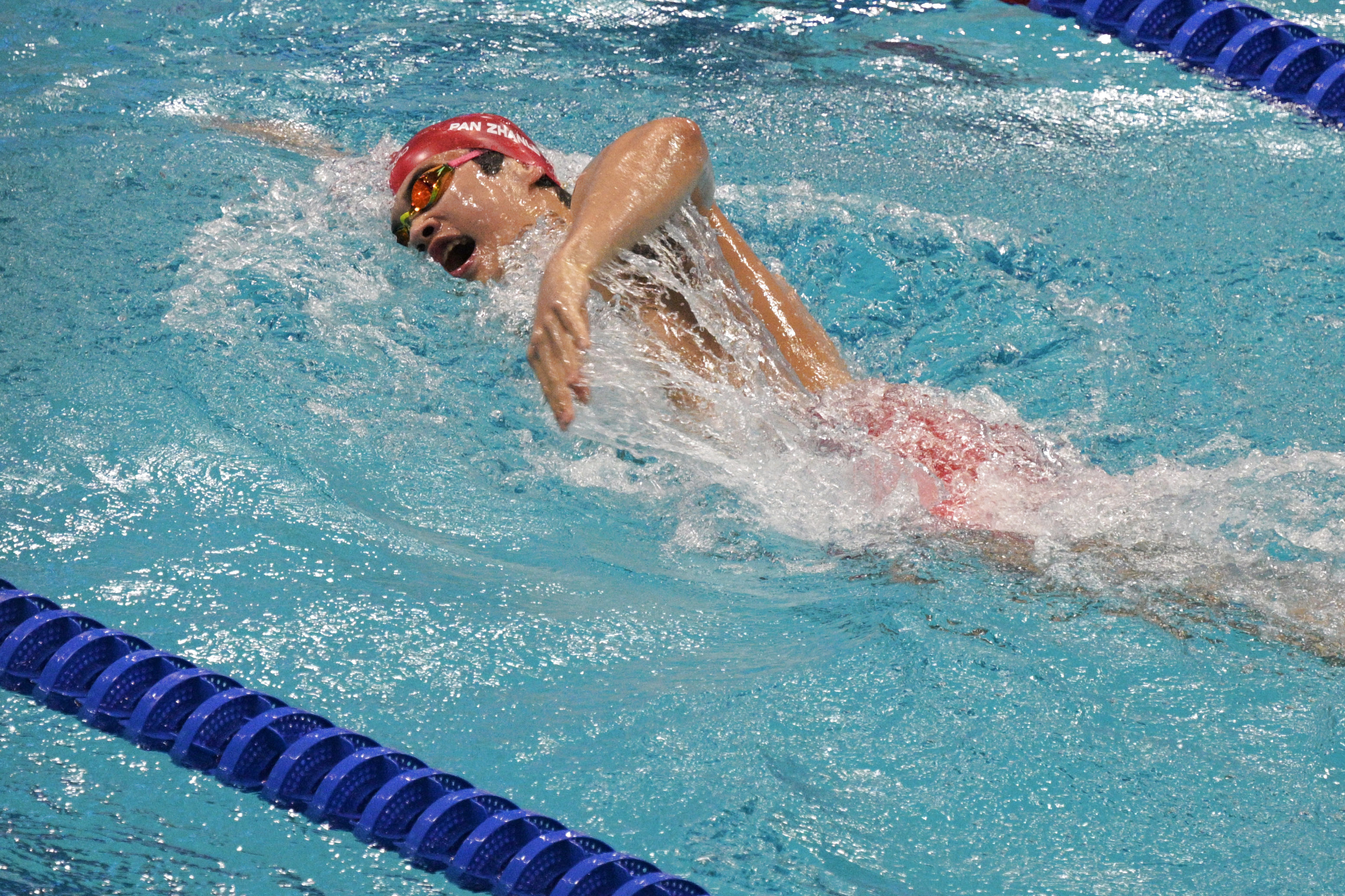 埃及游泳选手在自由泳项目中惊险获胜